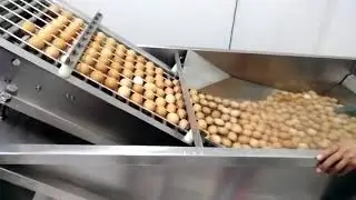 Commercial Egg Washer machine
