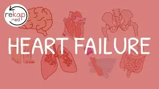 Heart Failure (Definitions, Symptoms, Investigations, Management) | Cardiology | Rekap Med