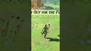 How to skip the flower shrine in Botw