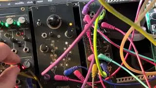 Bizarre jezabel blossom filter and mimosa jam. First quick patch.