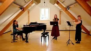 Caspar Kummer - Concertino Op. 101 in C