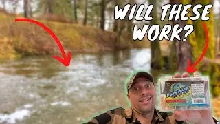 MICRO-FISHING In GERMANY With TROUT MAGNET! | CREEK FISHING