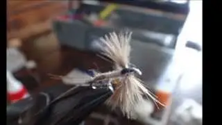 Mayfly Ireland