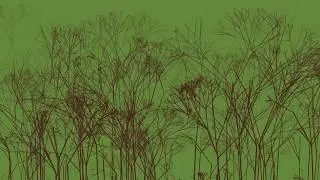 Creating a fractal tree forest using processing