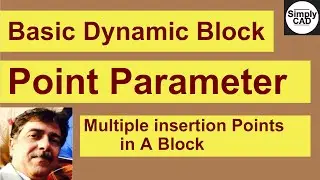 Multiple insertion Points in A Block with Point Parameter - Dynamic Block