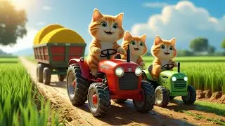 Mama Cat Story 🐱 &ndash; Heartwarming Cat Family Life | Swamp Cat Official
