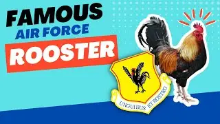 The 18th Wing's Patch