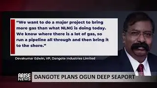 Dangote Plans Deep Seaport In Ogun State - Chika Mbonu