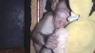 it's night time to sleep