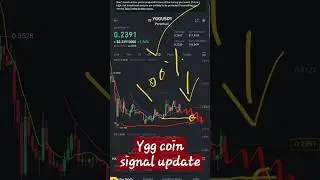 ygg coin price Prediction daily new signal For Bigners big news  Cryptocurrency Trading Indicator