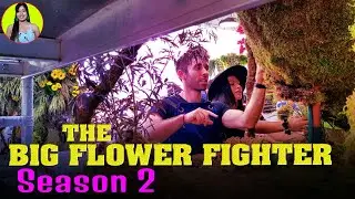 The Big Flower Fight Season 2 Renewed or Cancelled - Release on Netflix