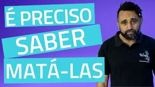 Algas Petecas No Aqu&aacute;rio, O Que Fazer?