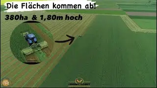 Die Fl&auml;chen kommen ab! 380ha Roggen mit 5-6 KM/H durch den 1,80m hohen Roggen! GPS M&auml;hen 2023