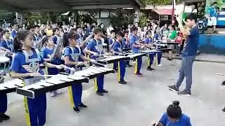 Circle parade boyscout