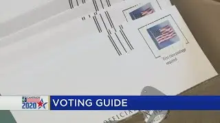 Voting guide