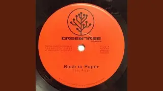 Bush In Paper