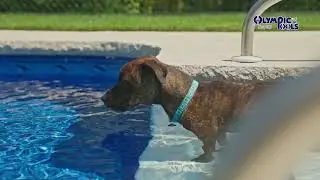 Rectangle Vinyl Liner Pool &ndash; Ray Milewski