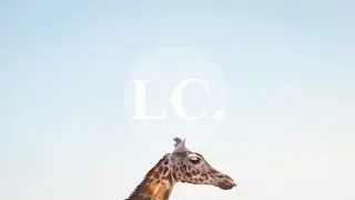 Christian L&ouml;ffler - Pacific (Patlac Remix)