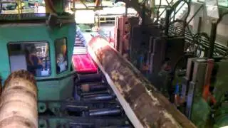 large log at headrig
