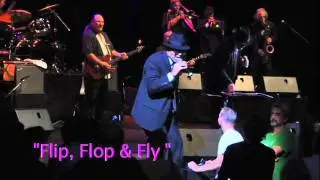 The Original Blues Brothers Band