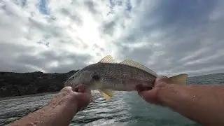 WIDE OPEN Seabass & Croaker - POV Paddle Board Fishing