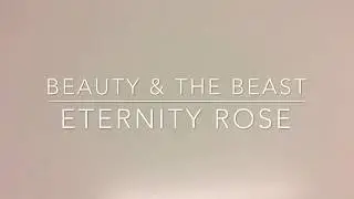 DIY Tutorial Eternity Rose Dome from Beauty and the Beast!