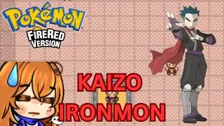 Ironman Kaizo Time! This is the Run!
