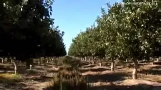 magnetic water treatment