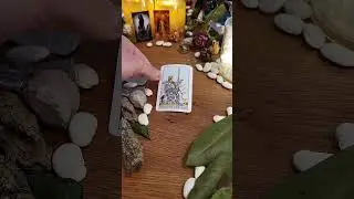 Verbinde dich mit deiner Tarot Tageskarte #tarotbotschaft #tarot #tageskarte