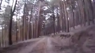 Pista Forestal