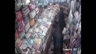 Uttarakhand two bulls fight in a shop  girls save his life😂🤣
