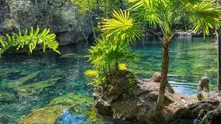 Constant restlessness - relaxing music to calm anxieties and calm the spirit - calming tuneone music
