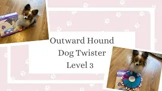 Cat's Canines ~ Outward Hound Level 3 advanced interactive toy ~ Dog Twister ~ Review