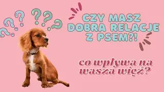 Odcinek 6. Czy masz dobrą relację ze swoim psem?