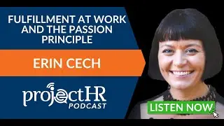 Fulfillment at Work and The Passion Principle