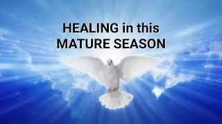 2026 Healing in this Mature Season 
