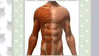best muscle pump supplement
