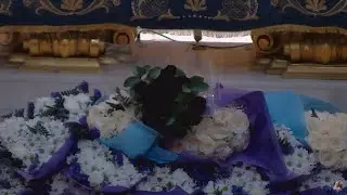 Desde la Basílica de la Caridad. Ofrenda de las Rosas Negras de los Portapasos de la Piedad 2025
