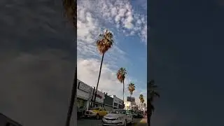 Fairfax Ave Los Angeles California #Shorts 🚗