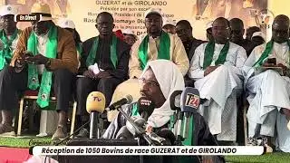 Thierno S Mody à Mabouba Diagne “ Ya kham élevage, Lepp lognou diguone Guiss naneko, yagnou respecté