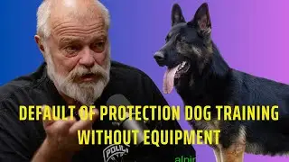 Unleashing Protection Dog Training: No Equipment Needed!