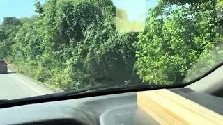 More wood7/24/2025