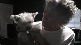 Fly me to the moon - Frank Sinatra - cover Peter S Smith & Snowy ! 25 9 25 live.