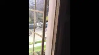 IMG 0565