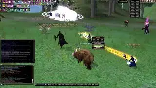 DAOC Celestius Zerg Fight Ench POV RVR 2022