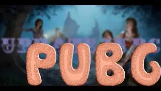 PubgData | SOLO TEAM UP