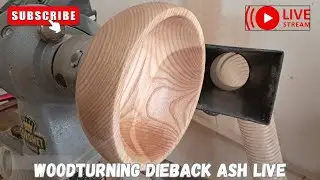 Woodturning Die Back Ash Live