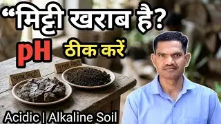 Bad soil? Here's how to fix pH | Acidic vs Alkaline Soil Treatment, bsk garden