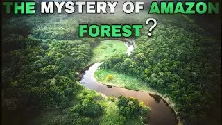 The MYSTERY OF AMAZON FOREST. AMAZON JUNGLE MYSTERY @ZemTV.Official