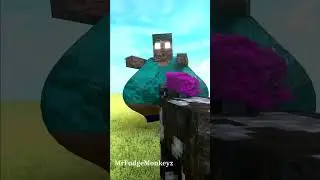 Minecraft Helper Herobrine #Shorts